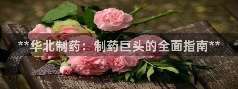 九游老哥俱乐部官网登录网址：**华北制药：制药巨头的全面指南**