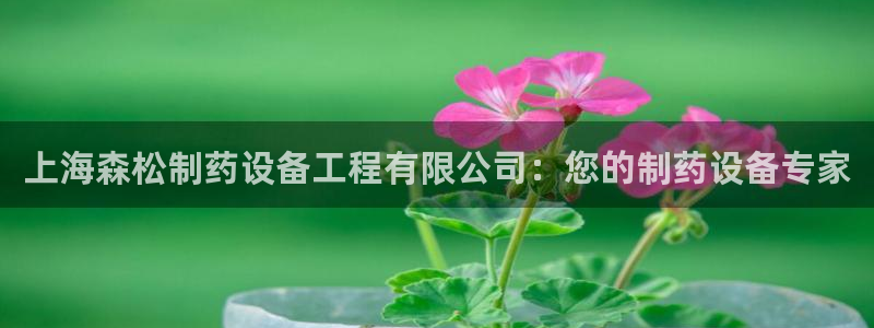 九游会老哥俱乐部官网：上海森松制药设备工程有限公司：您的制药设备专家