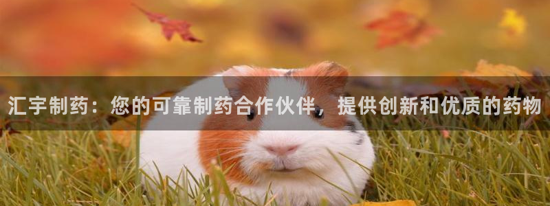 九游老哥俱乐部官网登录：汇宇制药：您的可靠制药合作伙伴，提供创新和优质的药物