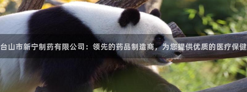 九游会老哥俱乐部官网首页：台山市新宁制药有限公司：领先的药品制造商，为您提供优质的医疗保健