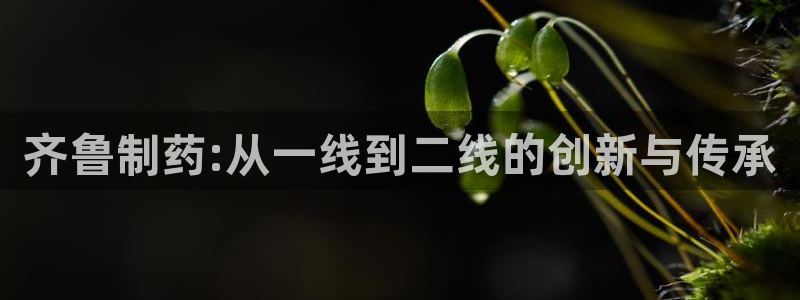 九游会老哥必备的交流社区九：齐鲁制药:从一线到二线的创新与传承