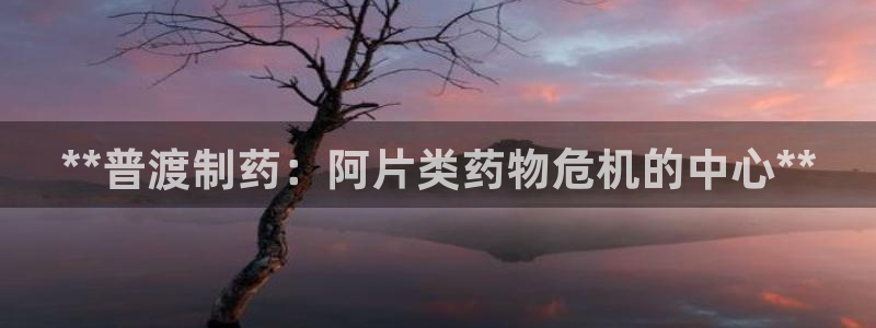 九游老哥俱乐部官网登录网址：**普渡制药：阿片类药物危机的中心**