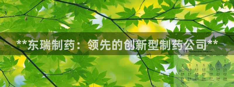 usdt九游会老哥俱乐部：**东瑞制药：领先的创新型制药公司**