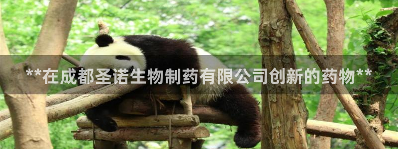 九游老哥俱乐部官网登录入口：**在成都圣诺生物制药有限公司创新的药物**
