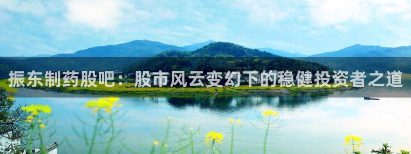 老哥俱乐部是干什么的啊：振东制药股吧：股市风云变幻下的稳健投资者之道