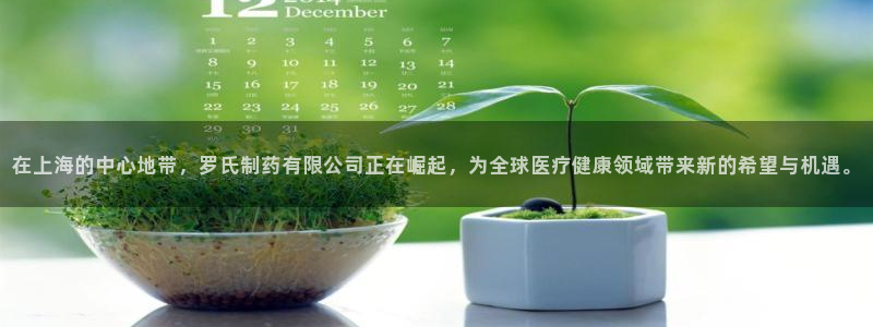 ag九游会老哥俱乐部：在上海的中心地带，罗氏制药有限公司正在崛起，为全球医疗健康领域带来新的希望与机遇。