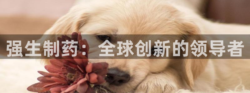 老哥俱乐部是干什么的：强生制药：全球创新的领导者