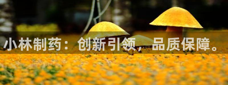 九游老哥俱乐部官网登录：小林制药：创新引领，品质保障。