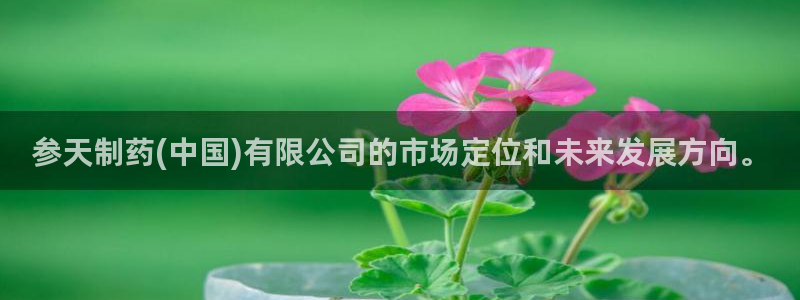 九游会老哥：参天制药(中国)有限公司的市场定位和未来发展方向。