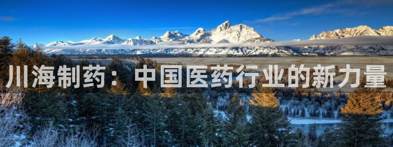 九游会老哥俱乐部官网：川海制药：中国医药行业的新力量