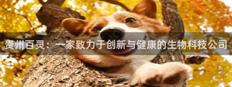 九游会老哥俱乐部官网首页：贵州百灵：一家致力于创新与健康的生物科技公司