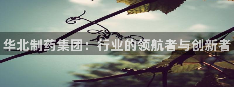 九游老哥俱乐部登录：华北制药集团：行业的领航者与创新者