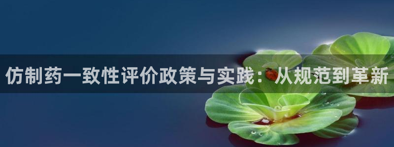 9游会老哥俱乐部：仿制药一致性评价政策与实践：从规范到革新