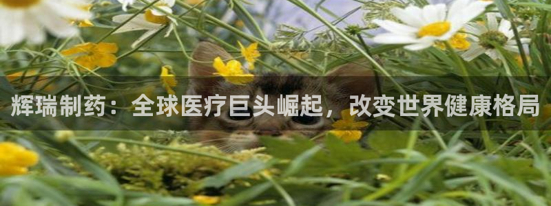 九游会老哥俱乐部必备的交流社区论坛：辉瑞制药：全球医疗巨头崛起，改变世界健康格局