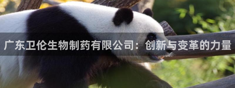 老哥俱乐部是干什么的：广东卫伦生物制药有限公司：创新与变革的力量