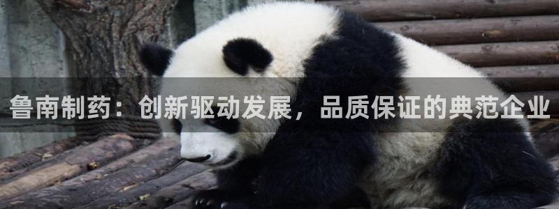 ag九游会老哥：鲁南制药：创新驱动发展，品质保证的典范企业