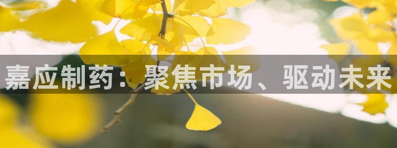九游会老哥俱乐部社区论坛：嘉应制药：聚焦市场、驱动未来