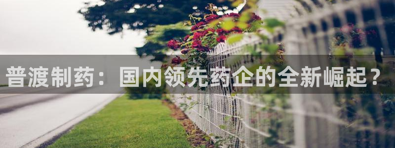 ag九游老哥俱乐部：普渡制药：国内领先药企的全新崛起？