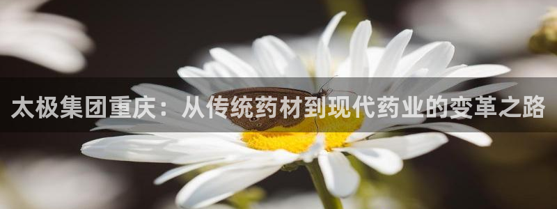 九游老哥俱乐部官网登录：太极集团重庆：从传统药材到现代药业的变革之路
