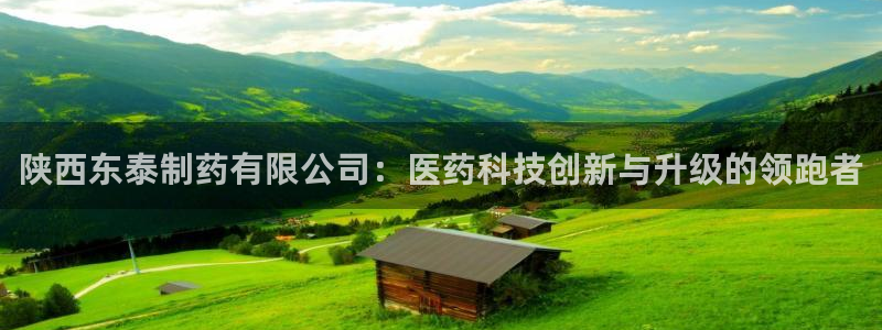 老哥俱乐部是干什么的啊：陕西东泰制药有限公司：医药科技创新与升级的领跑者