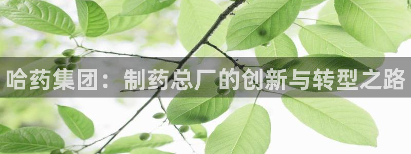 ag九游老哥俱乐部：哈药集团：制药总厂的创新与转型之路