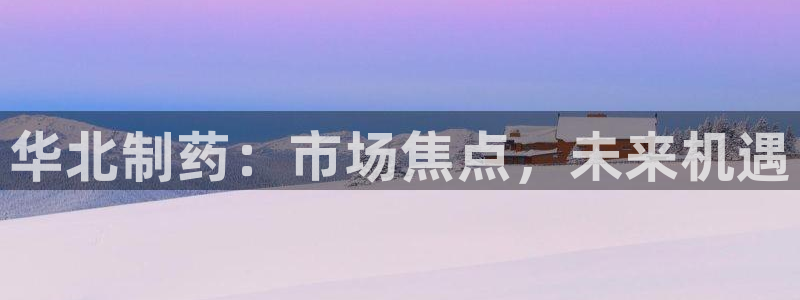 9游会老哥：华北制药：市场焦点，未来机遇