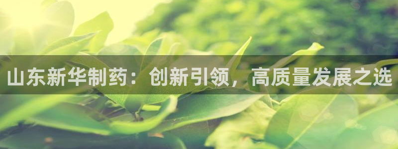 j9九游会老哥俱乐部交流区：山东新华制药：创新引领，高质量发展之选