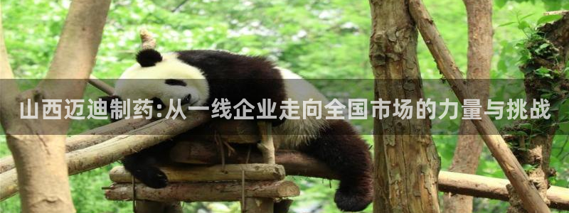 ag九游老哥俱乐部：山西迈迪制药:从一线企业走向全国市场的力量与挑战