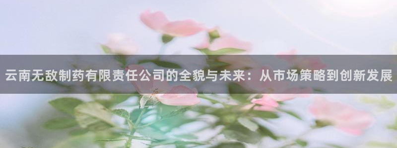 usdt九游会老哥俱乐部：云南无敌制药有限责任公司的全貌与未来：从市场策略到创新发展