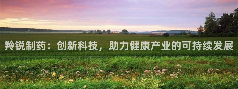 九游会老哥俱乐部论坛版：羚锐制药：创新科技，助力健康产业的可持续发展