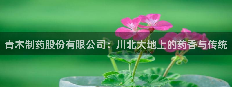 九游老哥俱乐部登录：青木制药股份有限公司：川北大地上的药香与传统