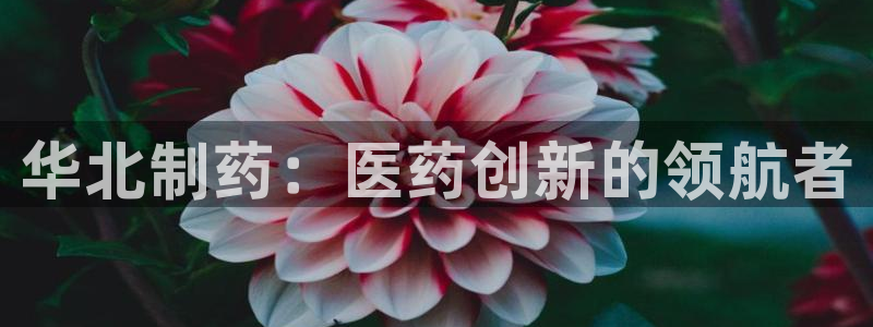 九游会老哥俱乐部论坛版：华北制药：医药创新的领航者
