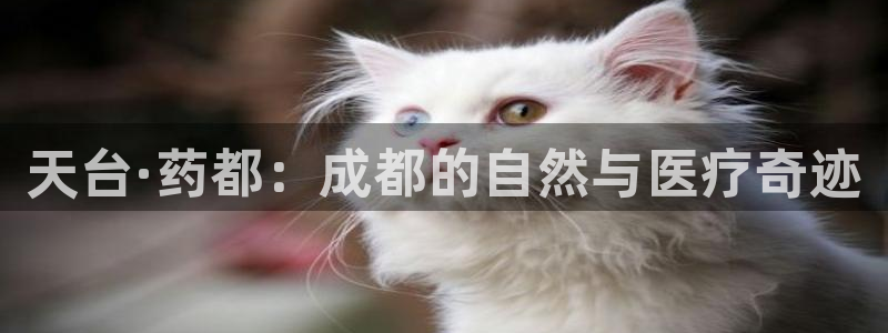 j9九游会老哥俱乐部交流区：天台·药都：成都的自然与医疗奇迹