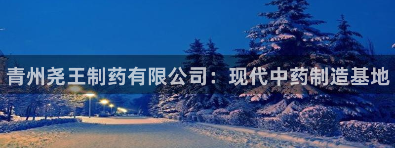 ag九游老哥俱乐部：青州尧王制药有限公司：现代中药制造基地