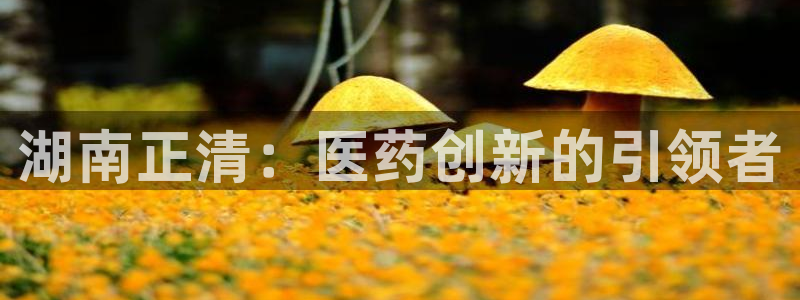 九游会老哥俱乐部官方网站：湖南正清：医药创新的引领者