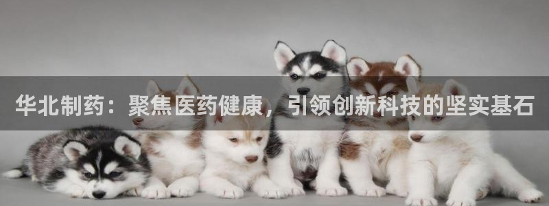 九游会老哥俱乐部交流社区：华北制药：聚焦医药健康，引领创新科技的坚实基石
