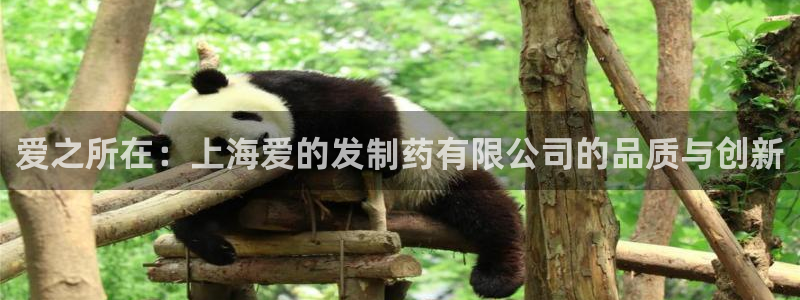 ag九游会老哥俱乐部：爱之所在：上海爱的发制药有限公司的品质与创新
