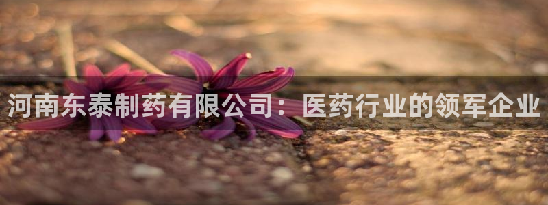 九游会老哥俱乐部官网：河南东泰制药有限公司：医药行业的领军企业