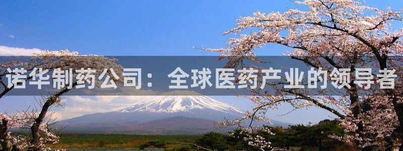 九游老哥俱乐部官网登录网址：诺华制药公司：全球医药产业的领导者
