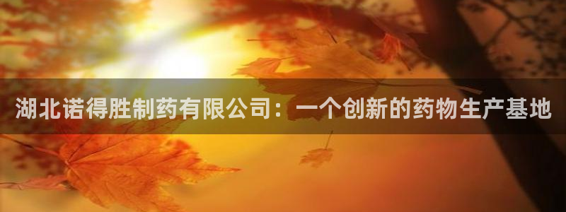 九游老哥俱乐部官网登录入口：湖北诺得胜制药有限公司：一个创新的药物生产基地