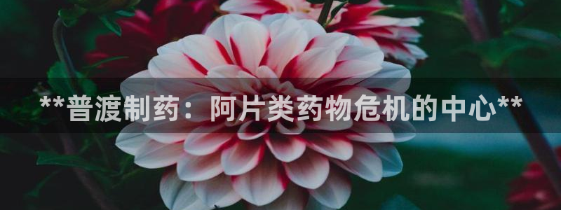 老哥吧九游会：**普渡制药：阿片类药物危机的中心**