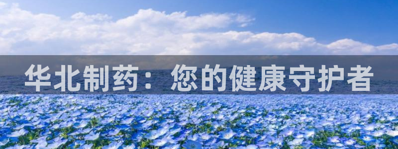 老哥吧九游会：华北制药：您的健康守护者