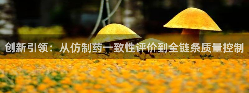 九游会老哥俱乐部交流社区：创新引领：从仿制药一致性评价到全链条质量控制