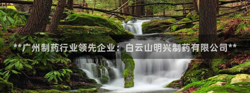 九游会老哥：**广州制药行业领先企业：白云山明兴制药有限公司**