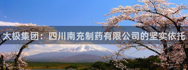 ag九游会老哥俱乐部：太极集团：四川南充制药有限公司的坚实依托