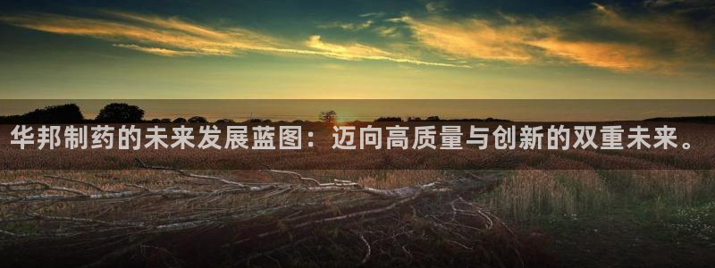 usdt九游会老哥俱乐部：华邦制药的未来发展蓝图：迈向高质量与创新的双重未来。