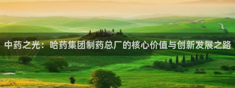 九游老哥俱乐部登录：中药之光：哈药集团制药总厂的核心价值与创新发展之路