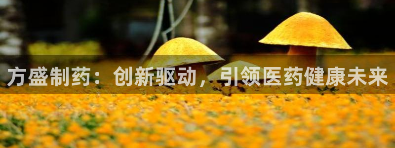 老哥俱乐部是干什么的：方盛制药：创新驱动，引领医药健康未来