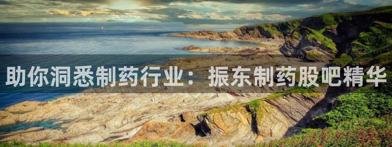 九游会老哥俱乐部交流社区：助你洞悉制药行业：振东制药股吧精华