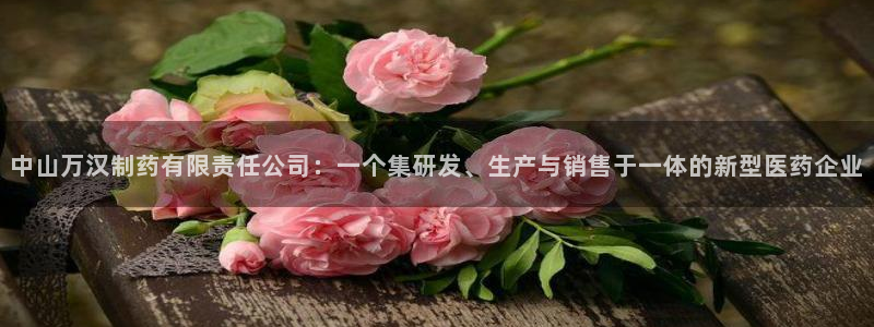 ag九游会老哥：中山万汉制药有限责任公司：一个集研发、生产与销售于一体的新型医药企业